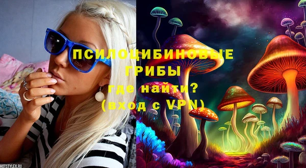 дурь Рославль